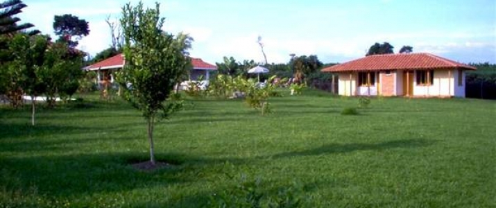 Zonas verdes