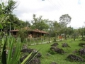 Zona Verde